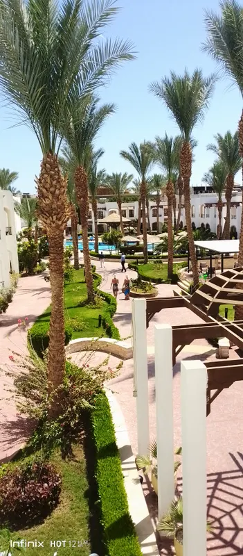 Sharm Reef Hotel фото 65