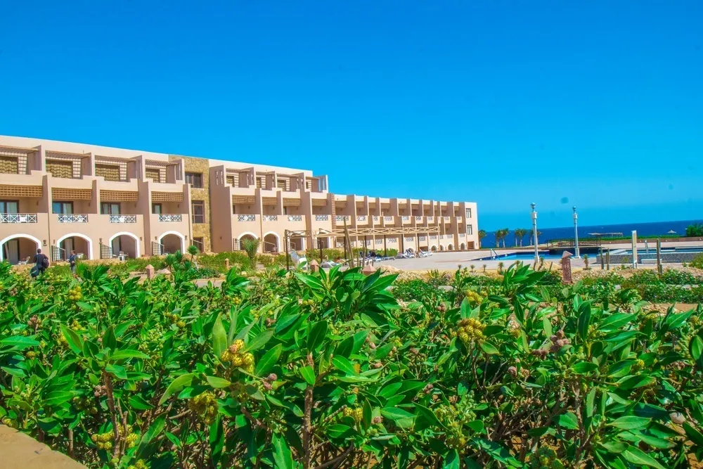 Viva Blue Resort & Diving Sharm El Naga (Adults Only) фото 20