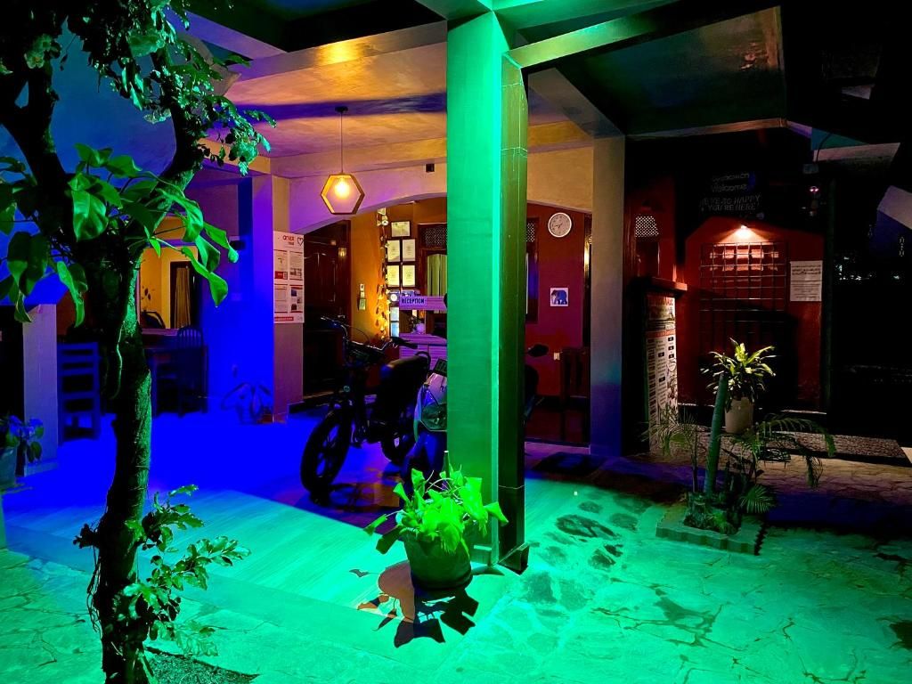 Tamara Motels фото 32