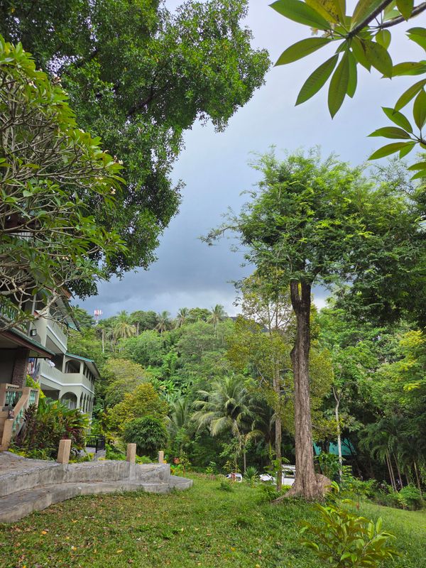 Kata Garden Resort фото 36