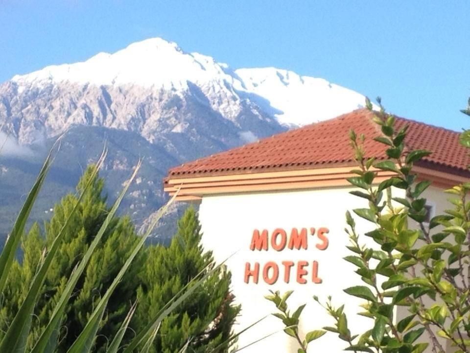MG Moms Hotel фото 30