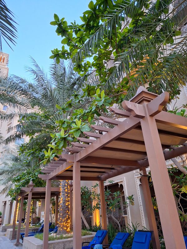 Sheraton Sharjah Beach Resort & Spa фото 77