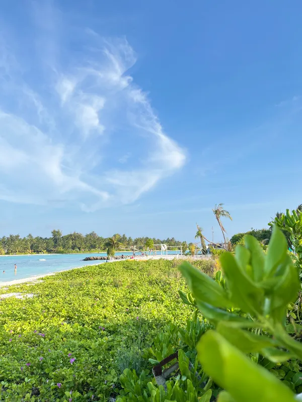 Guest House «Ocean Retreat and Spa Guest House» фото 33