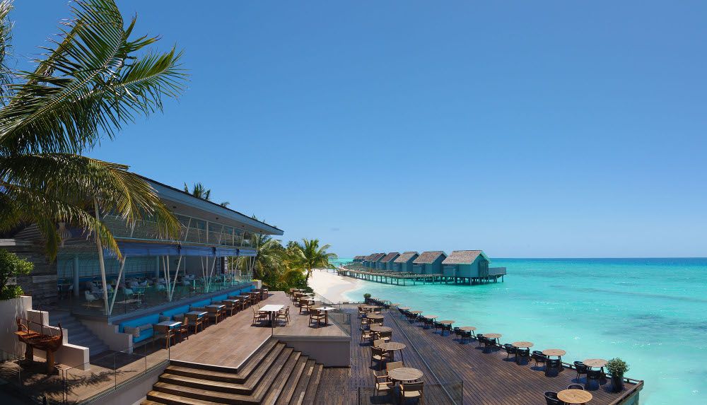 Niva Kuramathi Maldives фото 48