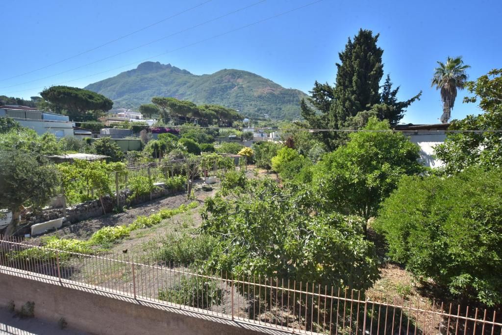 Villa Franca фото 6