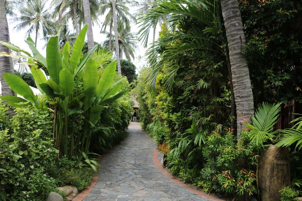 Bamboo Village Beach Resort & Spa фото 158