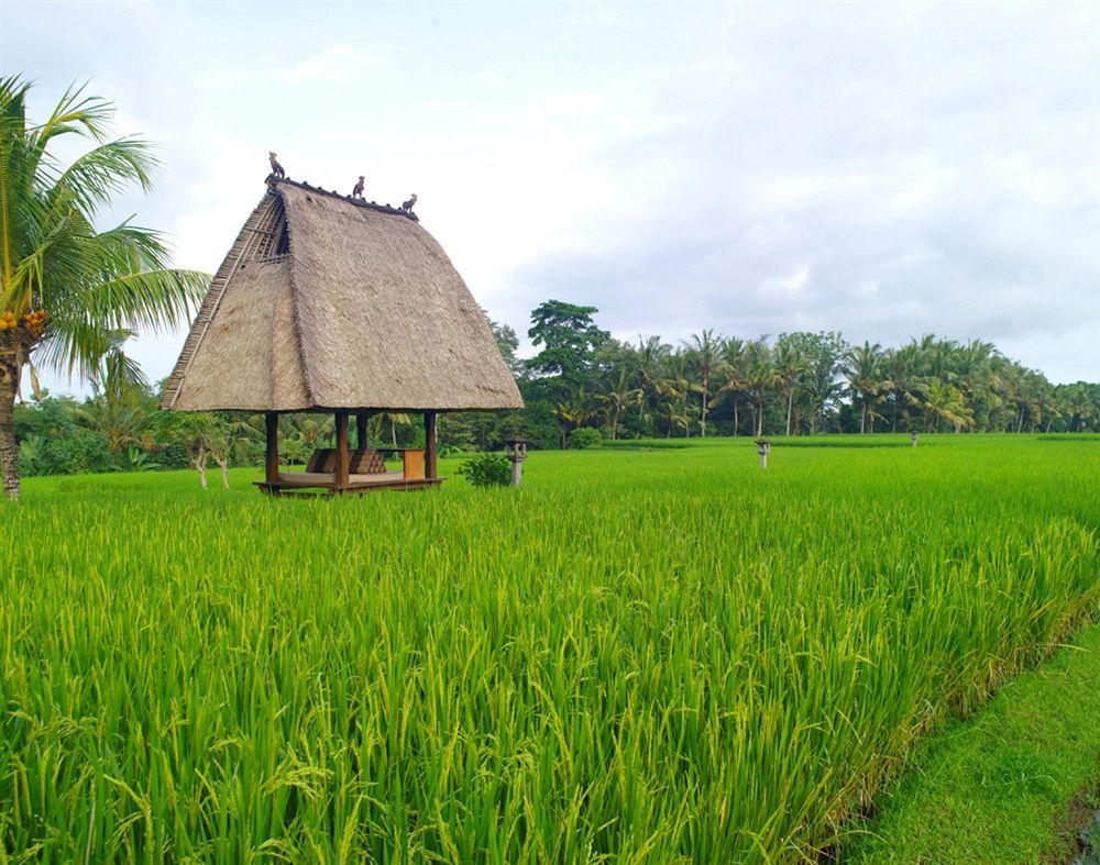 Tanah Gajah, a Resort by Hadiprana фото 78
