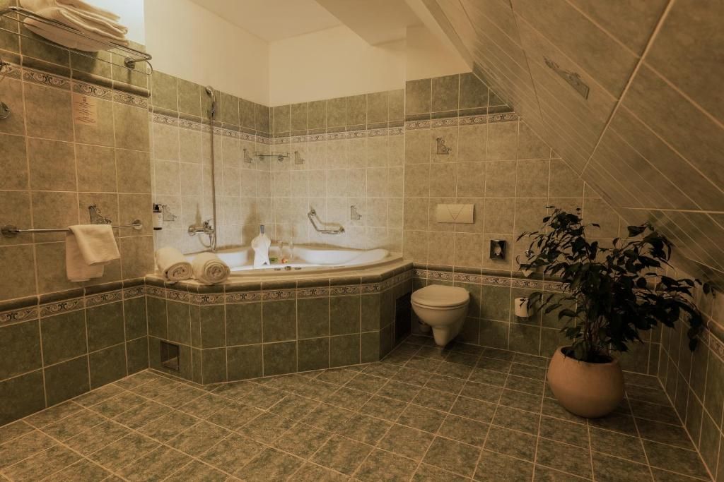 Hotel Gold фото 25