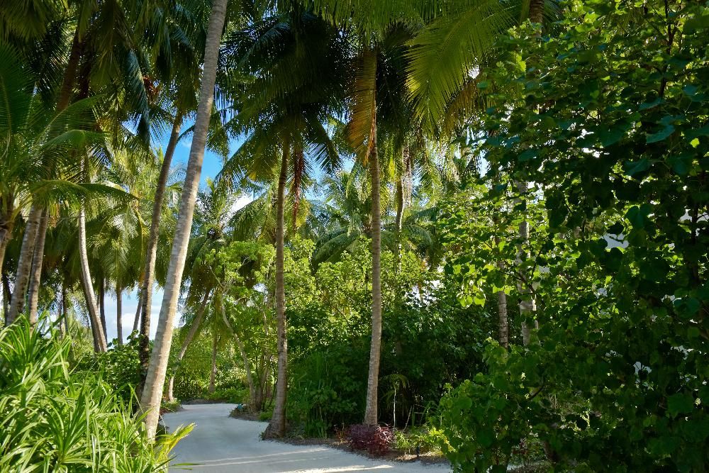 Kandima Maldives фото 125