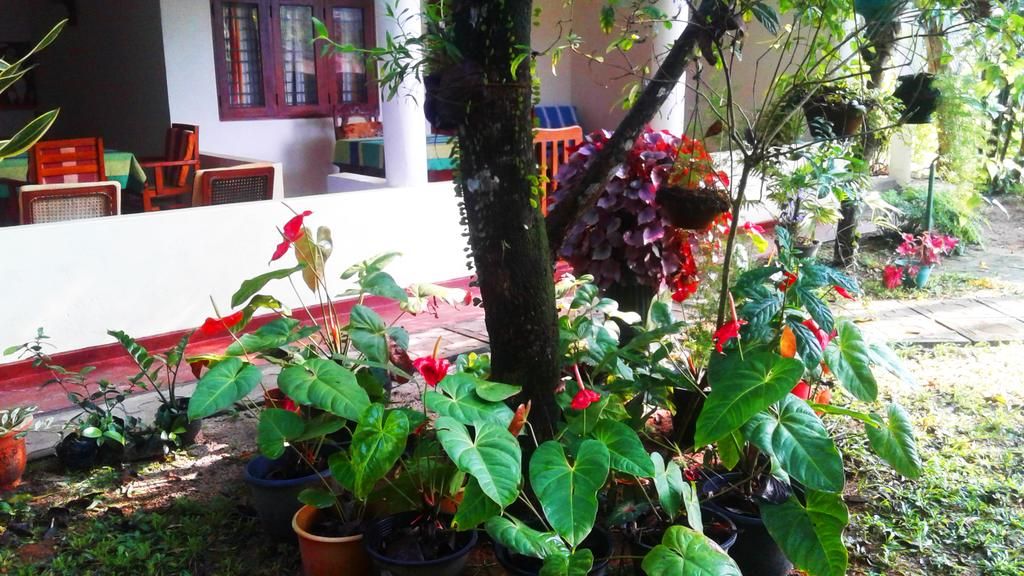 Гостевой дом «C-Lanka Guest House» фото 27