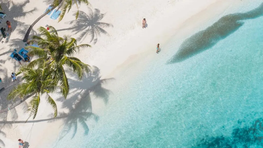 Arena Beach Hotel фото 30