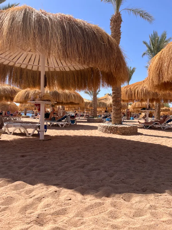 Jaz Sharm Dreams фото 80