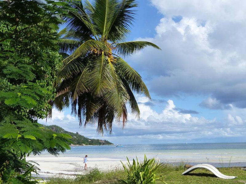 Beach Villas фото 10