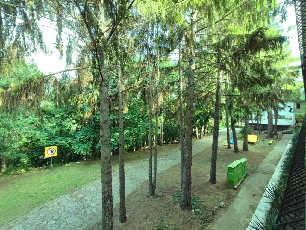 Park Hotel Briz фото 48