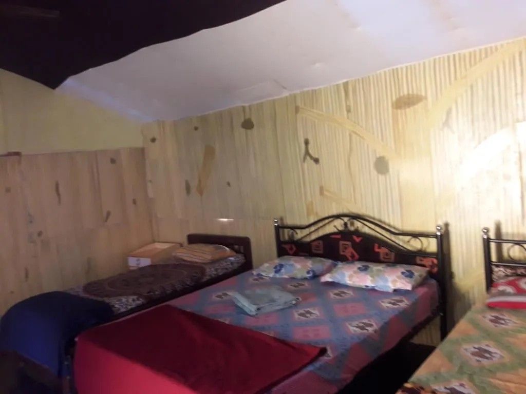 Guest House «Zappia Cove Guesthouse» фото 6