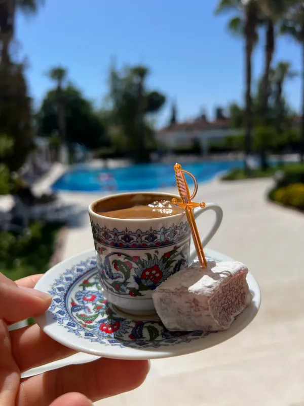 Larissa Sultan's Beach Hotel фото 101