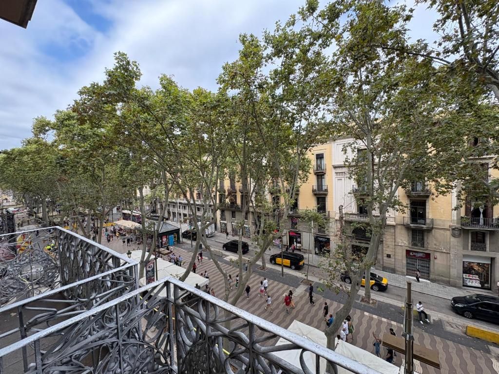 Ramblas фото 66