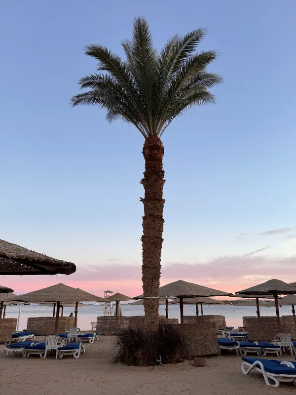 Fort Arabesque Resort, Spa & Villas фото 45
