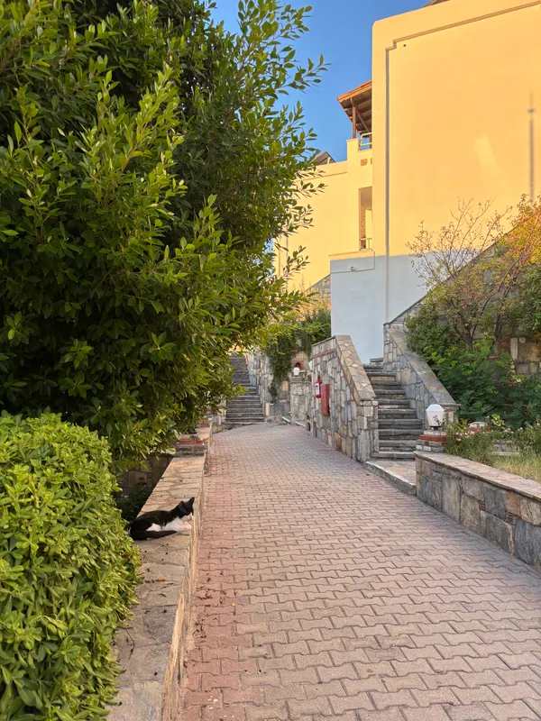 Afytos Bodrum фото 27