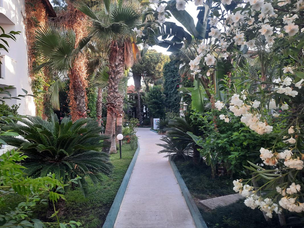 Marvida Hotel Akman Park фото 78