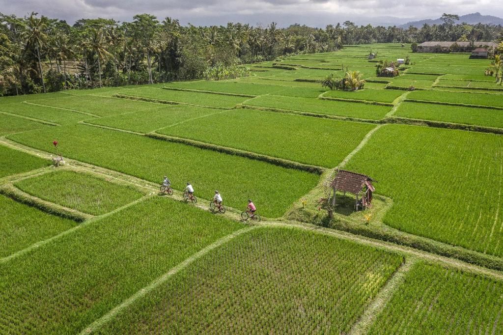 Four Seasons Resort Bali at Sayan фото 60