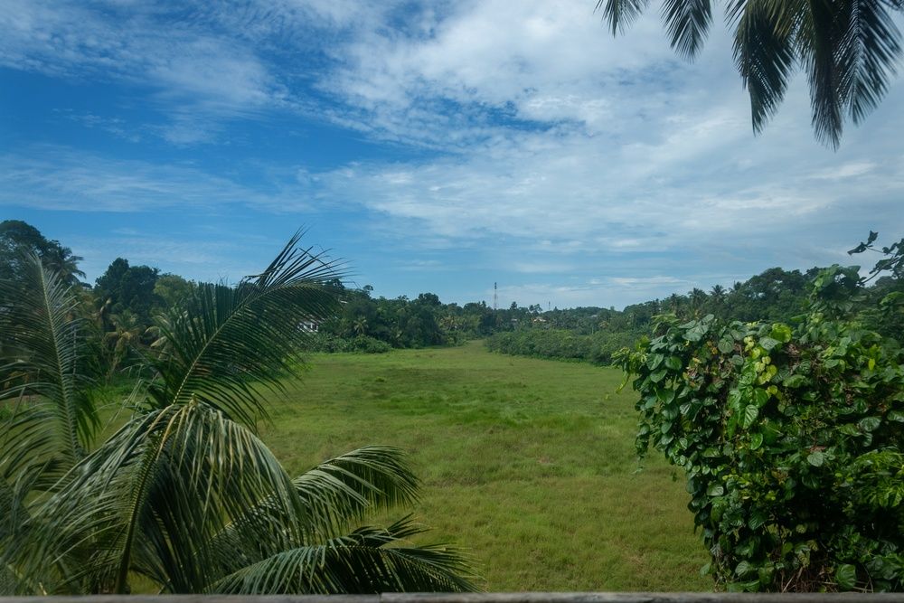 Green Edge Villa фото 56