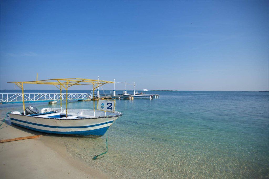 Flamingo Beach Resort фото 5