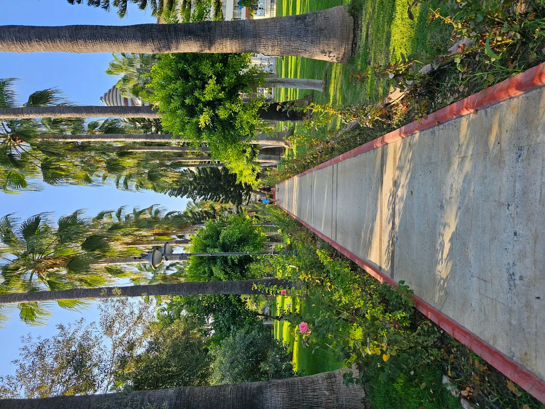 Saphir Hotel & Villas фото 83