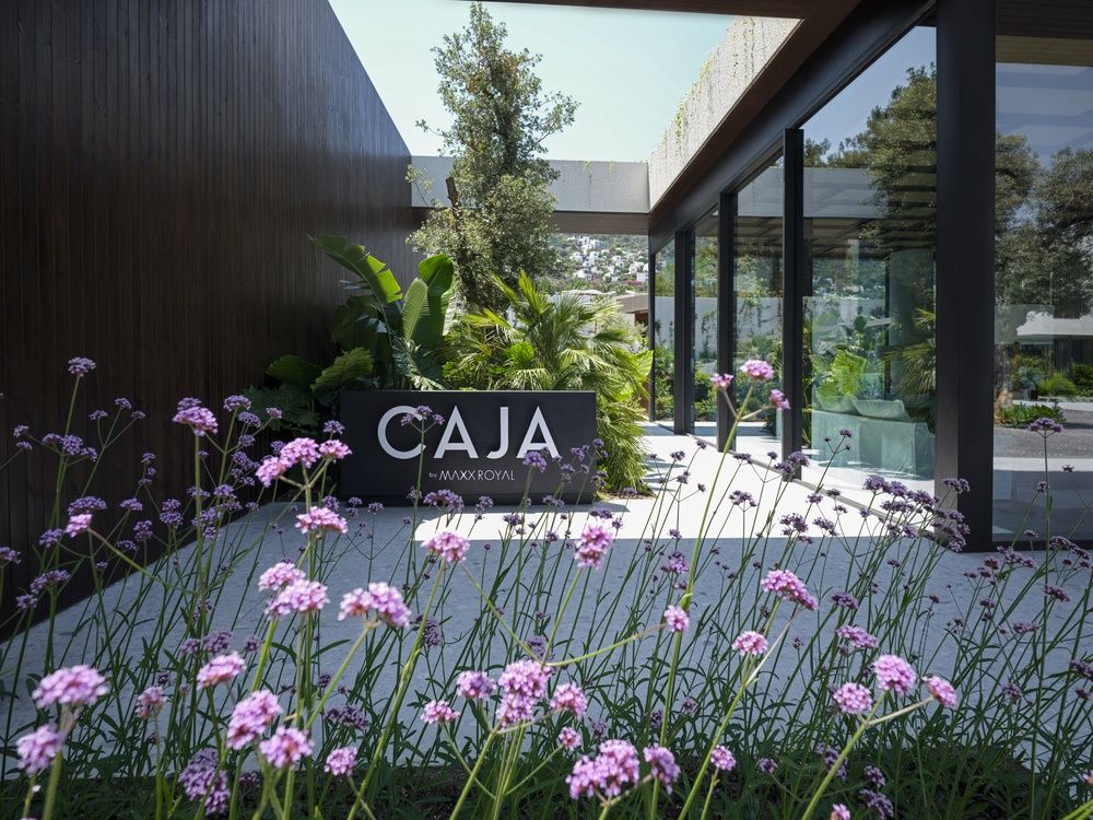 Caja By Maxx Royal фото 76