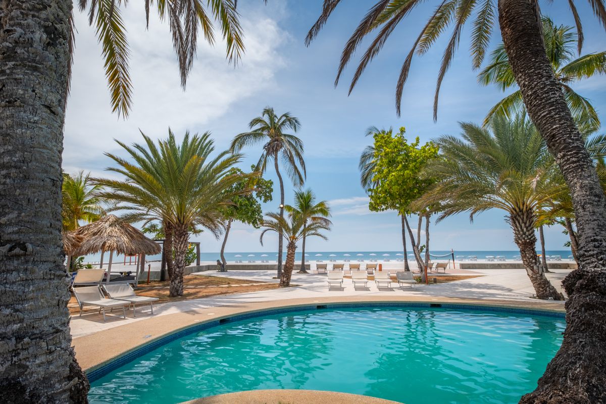 Paradise Coche фото 10