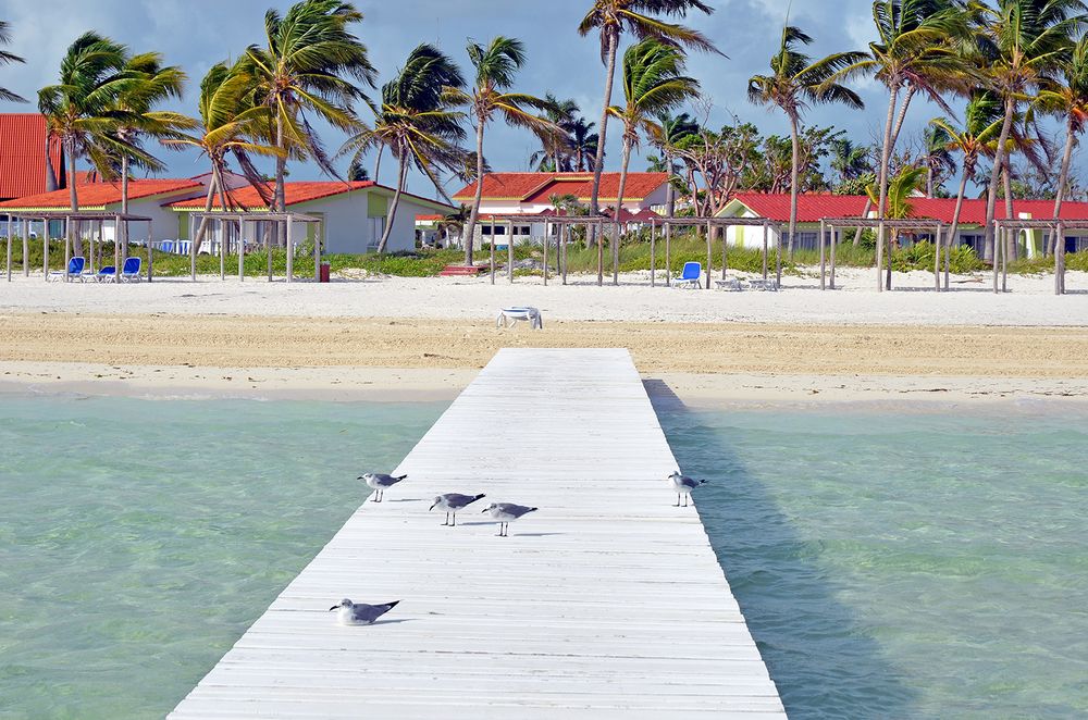 Gran Caribe Club Cayo Guillermo фото 89