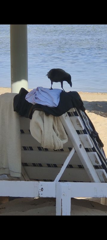 Sharm Grand Plaza Resort фото 72