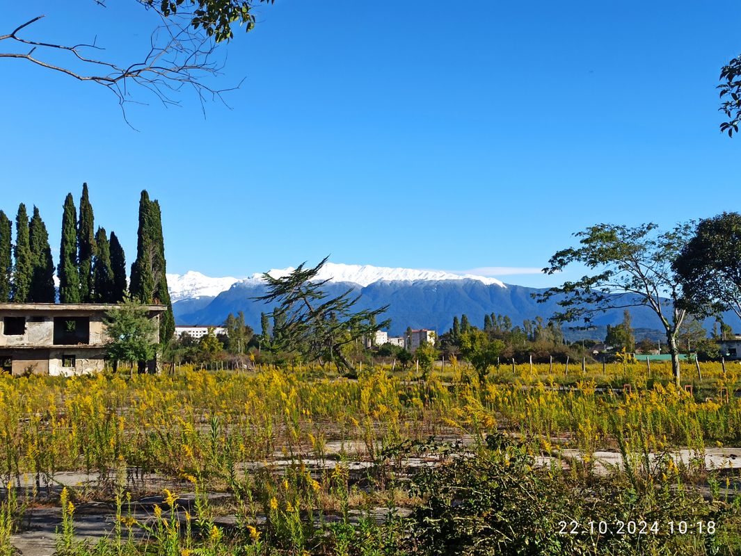 Blue Sky фото 15