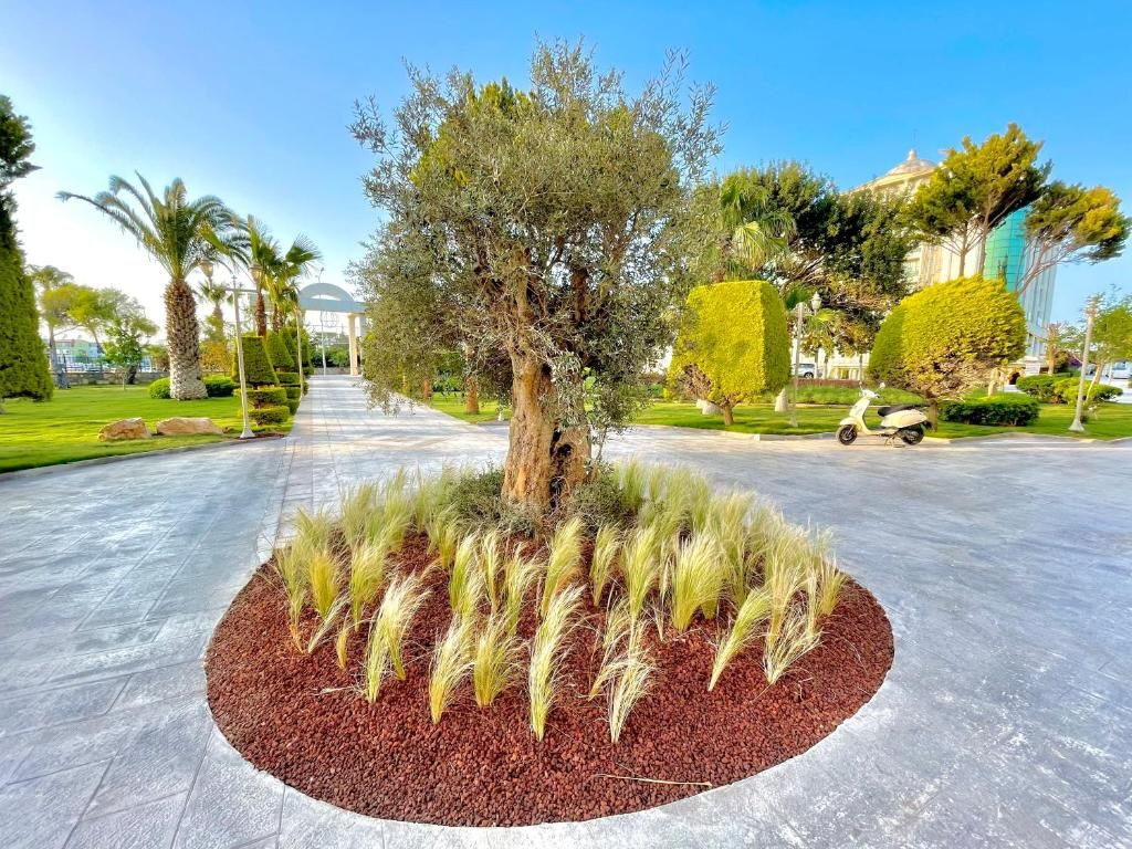 Laur Hotels Experience and Elegance фото 76