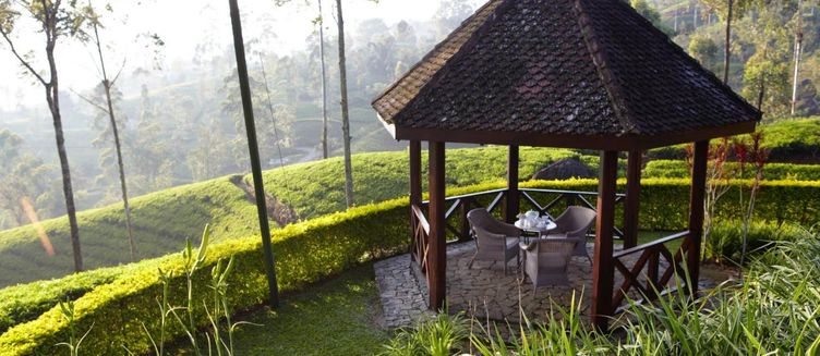 Фото отеля Ceylon Tea Trails