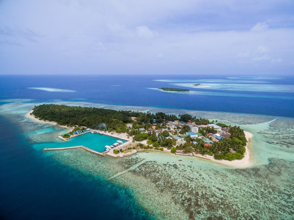 Guest House ««Plumeria Maldives» Guest House» фото 80