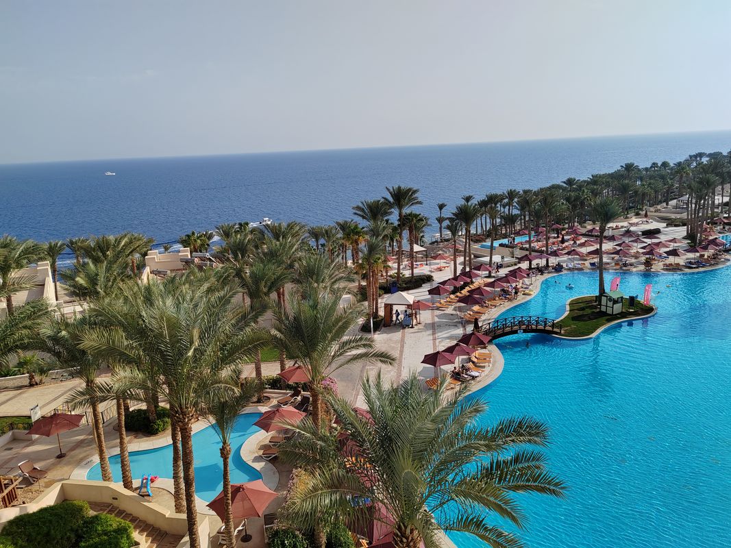 Grand Rotana Resort & Spa фото 77