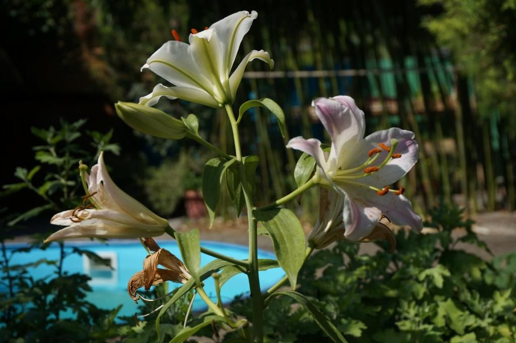 Гостиница «Guest House K&T» фото 26