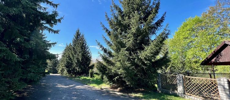 Фото отеля Агата