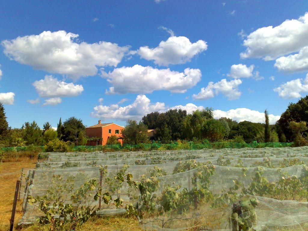 Villa Camomilia фото 4