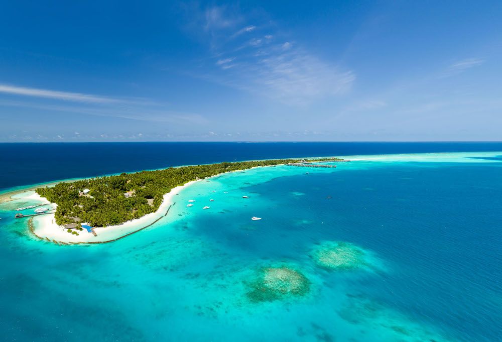 Niva Kuramathi Maldives фото 40