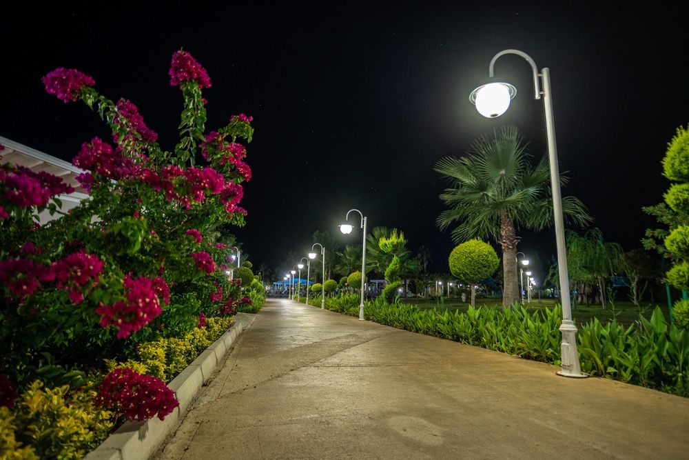 Club Hotel Phaselis Rose фото 259