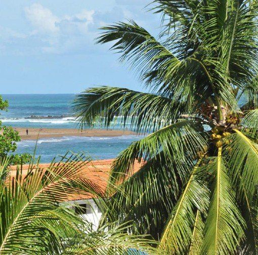 Hotel Bay Watch фото 28