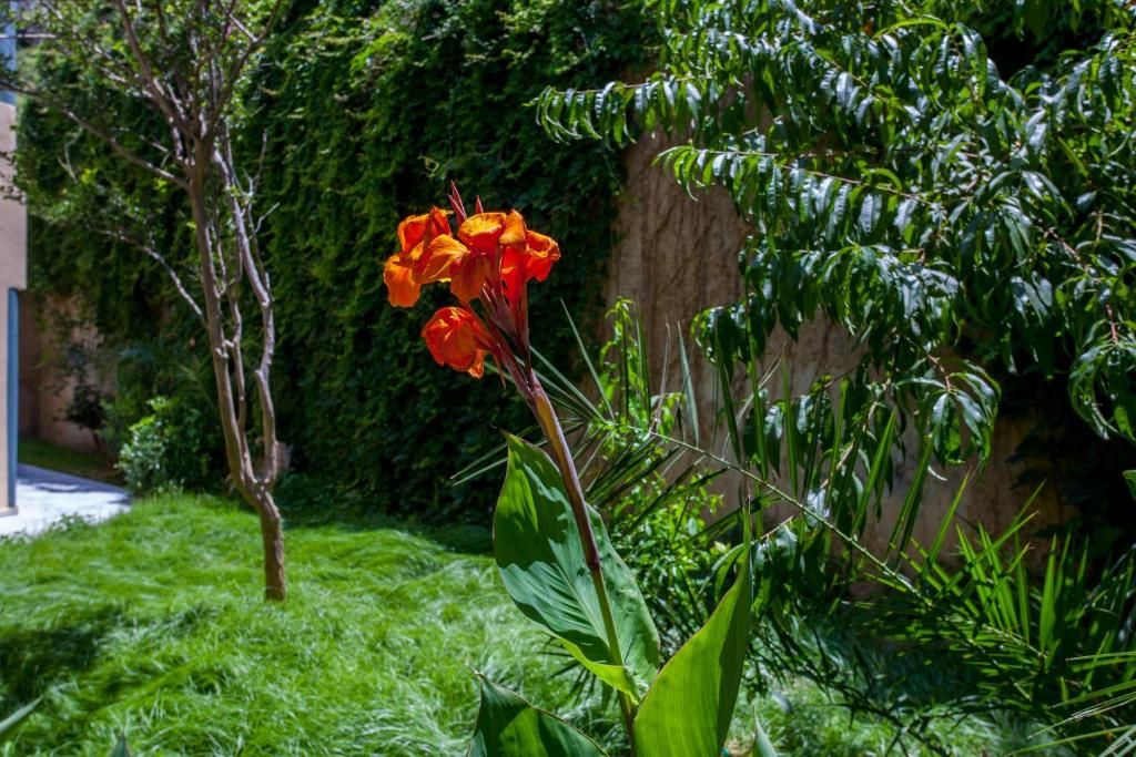 Akasti фото 16