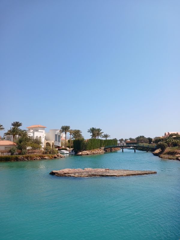 Sheraton Miramar Resort El Gouna фото 45