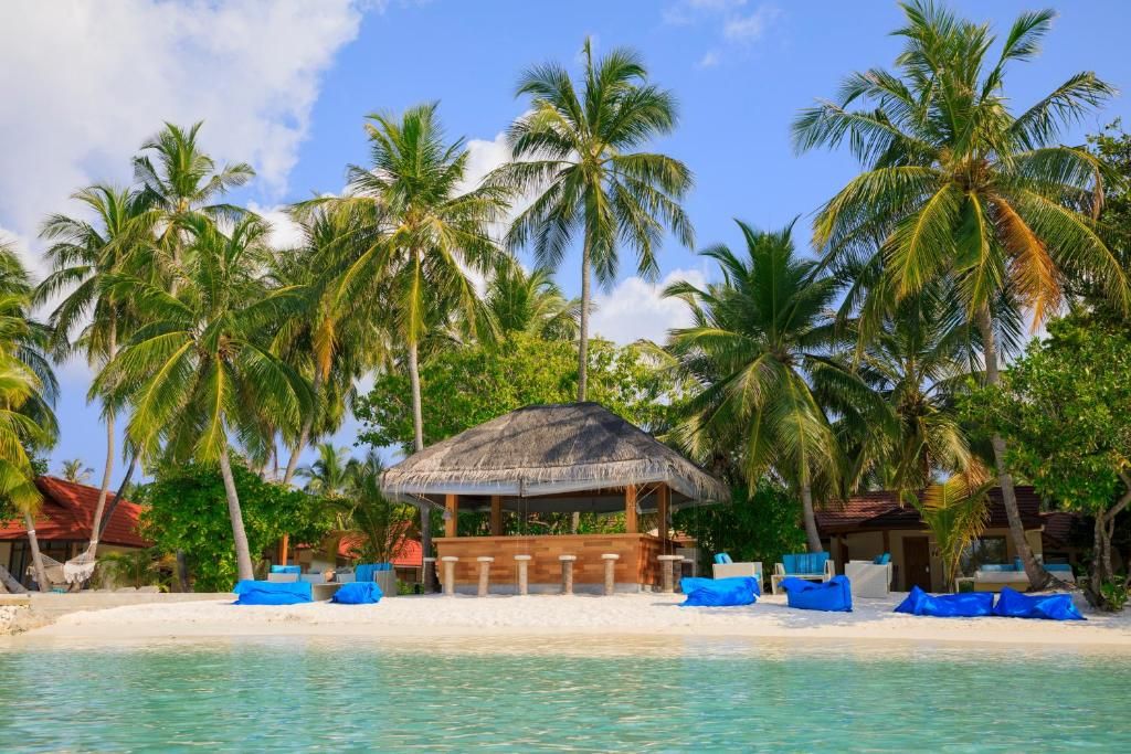 Niva Kurumba Maldives фото 33