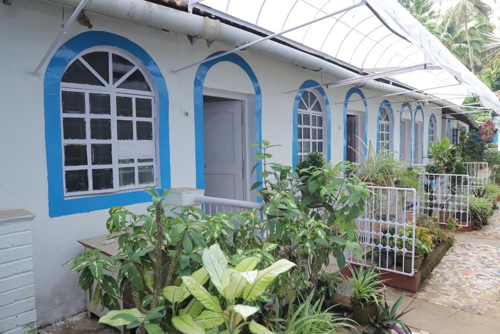 Guest House «Zappia Cove Guesthouse» фото 29