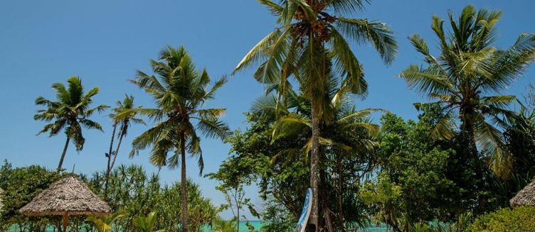 Фото отеля Tikitam Palms