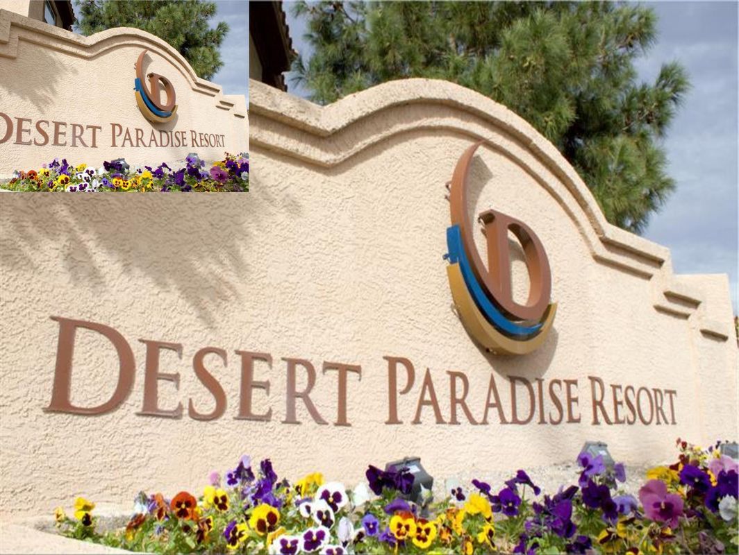 Desert Paradise Resort фото 31