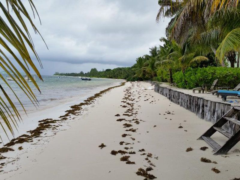 Beach Villas фото 5